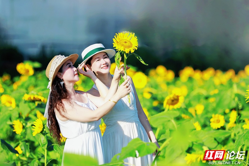nEO_IMG_微信图片_20260713155904_309_2059.jpg