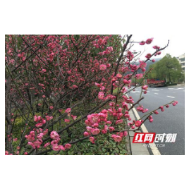 加强党的纪律教育的重大意义和具体策略研究