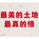 万行长诗颂祖国 | 邓盈盈《最美的土地  最真的情》