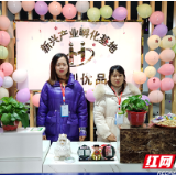 轻创业、轻模式、轻实体——为邵阳新兴产业注入新鲜发展活力