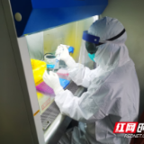 抗疫战场上的“侦察兵”——记邵东市人民医院检验科医生谢中意