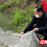 邵阳县塘渡口镇开展渔政执法筑牢渔业生态安全