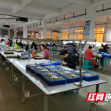 武冈市人社局：做足“三个结合”文章  助推扶贫车间复工复产进入“快车道”