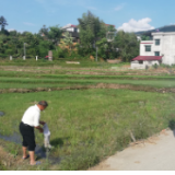 新宁放生一批珍贵野生动物回归自然