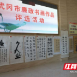 武冈市：“六廉工作法”引领清风廉线