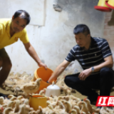 国网新邵县供电公司：“鸡司令”摘下贫困帽