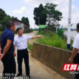 邵东：欧阳浪巡查槎江河生态环境