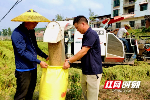 饱满的谷粒通过出粮口自动装袋。