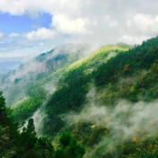 瑶家青山笑颜开——隆回县小沙江石材矿区生态修复和产业转型升级纪实