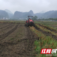 新宁县崀山镇：油菜播种正当时 待到来年花海见