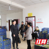 “湘妹子能量”撑起乡村振兴半边天：邵阳市妇联考察武冈市双龙兴村妇女工作