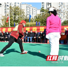 邵阳市税务系统第四届老年门球赛开赛