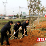 不负春光 大祥公安组织开展义务植树活动