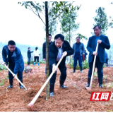 邵阳：携手植绿护绿 共建绿色家园