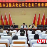 邵东市卫健局举办党史学习教育工作培训会