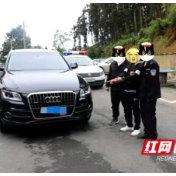 邵阳县公安局：“砸车大盗”疯狂作案 多部门协作为民除害