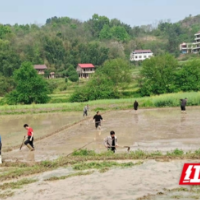我为群众办实事｜大祥区板桥乡持续推进耕地抛荒整治