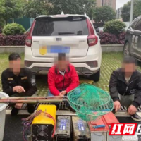 我为群众办实事丨武冈市公安局治安大队：破获一起非法捕捞水产品案