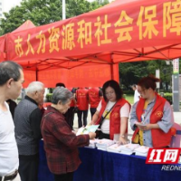 邵阳人社:开启党史学习教育“1+2+3”模式 打通服务民生“最后一公里”