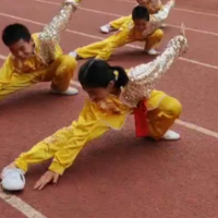 邵阳:传统武术进校园 一招一式展风采