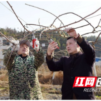 隆回：脱贫致富感党恩