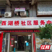 不忘初心 固本强基——记湖南省先进基层党组织西湖桥社区党总支