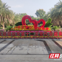 喜迎党代会丨满怀激情 共谋发展 邵阳市第十二次党代会代表向大会报到