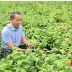 隆回：“能人效应”激活村集体经济