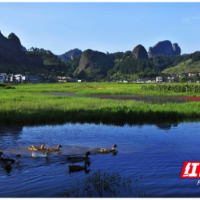 新宁崀山：纵深推进河长制 守护崀山碧水清波