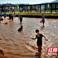 邵阳市关爱困境儿童走近非遗文化