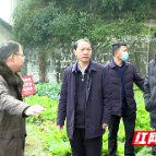 邵阳县开启新年巡河及河堤规划建设工作调研