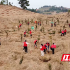 视频丨百团千树添新绿 袅袅春风植树忙——北塔区开展全民植树活动