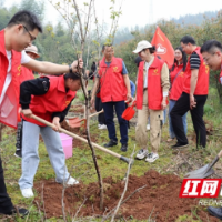 邵阳职院：齐心植树添绿 助力乡村振兴