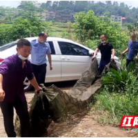 大祥区板桥乡：打击非法捕捞 助力守护美丽邵水