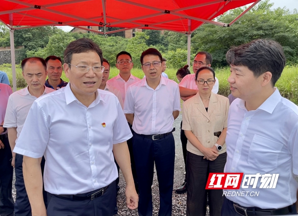 华学健调研重点项目建设工作(图2)