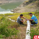 邵阳县五峰铺镇：全力抗旱保电 只为农田“喝”上水