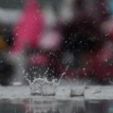 天气丨明晚起全省有一轮降温降雨
