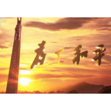 《为了和平》第五集：万众一心