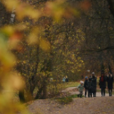 科罗缅斯克庄园秋色