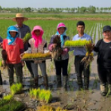 央视网评：把保障农民利益放在第一位