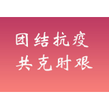 陈晓东谈中非团结抗疫特别峰会成果