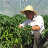 甘肃灵台：过上“圆梦小康”好日子 走上脱贫致富新路子