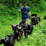 盲人“羊倌”脱贫记