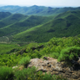 内蒙古科右中旗:找准发展方向 “枫马牛”可相及