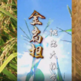 “金扁担”挑出大粮仓