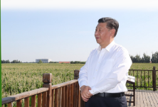 热解读丨总书记的黑土地情怀