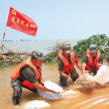 英雄城里的英雄们