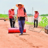 共产党员,坚守挺立在防汛救灾一线