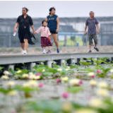 天津赵庄子村：甩掉穷帽子 吃上“生态饭”