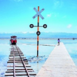 青海:荒滩披绿游客来